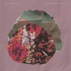 老美漏奶免费毛片
